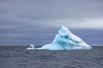 Blue iceberg from a glacier before a storm drifting in the ocean of Svalbard, Norway