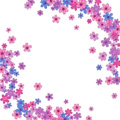 Colorful flower background