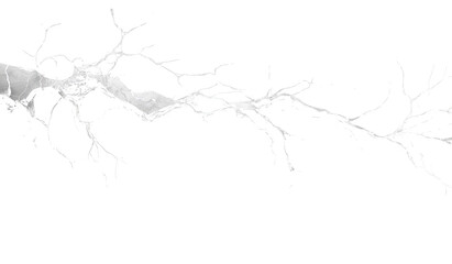 Transparent Cracked Glass Texture, broken window glass, transparent shatter, shatter texture, broken glass on transparent.