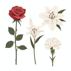 Obraz premium Illustration of various flowers, including a red rose and white lilies.