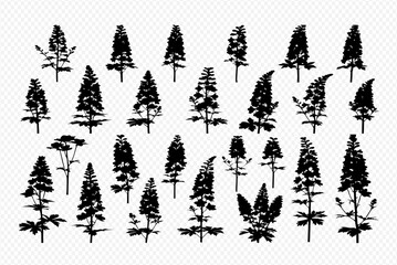 A collection of twenty-four black silhouette illustrations of various lupine flower plants, each with unique shapes and sizes, arranged on a transparent background.