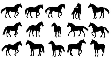 Horse Silhouette Collection: A collection of black horse silhouettes showcasing various poses, perfect for adding a touch of elegance and sophistication to any design.