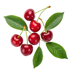 Vibrant fresh cherries with green leaves on delicate stems offer a sweet taste of summer for healthy recipes and vibrant designs