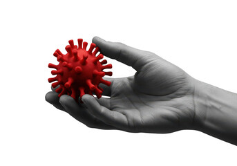 A hand holds a red, spiky virus particle, symbolizing disease and contagion isolated on transparent background