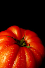Close-up of a ripe red tomato glistening with water droplets, set against a dark backdrop