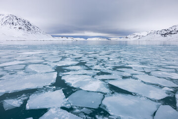 Floating ice on the ocean with mountains in the background in the arctic of Svalbard, Norway © Reto Ammann