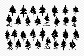 A collection of thirty-two stylized silhouette illustrations of evergreen trees, arranged in a grid pattern against a transparent background.