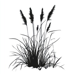 Silhouette grass illustration plant.