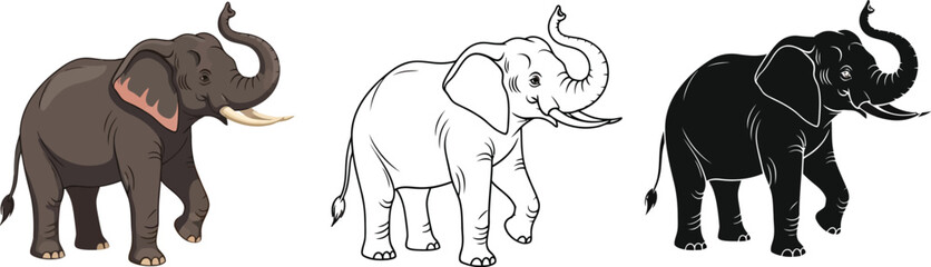 Obraz premium Elephant illustration set: vector graphics of african elephants in color, outline, and silhouette