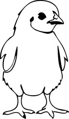 Fluffy Baby Chick Coloring Page