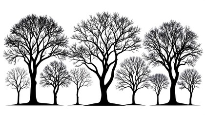 Silhouettes of bare winter trees