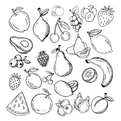 Hand Draw Fruits Collection. 