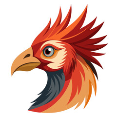 rooster isolated on white