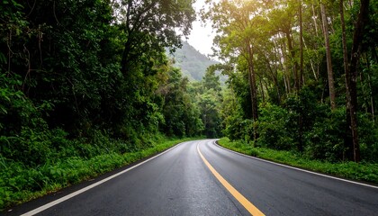 Winding road through lush green forest