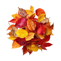 Fototapeta premium Colorful autumn leaves clustered together