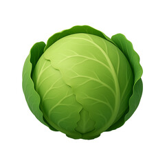 Fototapeta premium 3D Fresh Green Cabbage Isolated on a Transparent Background