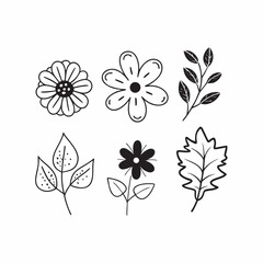 Set of assorted flower and leaves 3