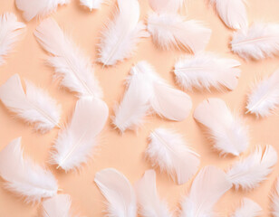 Obraz premium Pale Peach Feather Texture