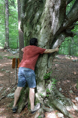 young man in t shirt hugging a big tree trunk in the woods symbol of connection with natural elements