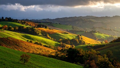 Obraz premium Rolling hills in autumn