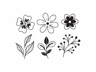 Set of assorted flower and leaves 1