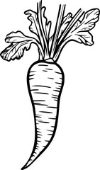 Parsnip Root Vegetable Lineart for Coloring Page