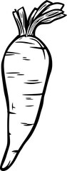 Parsnip Root Vegetable Lineart for Coloring Page