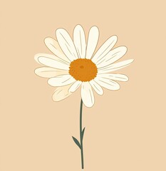 A simple, single flower