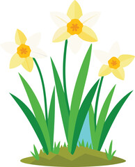 Obraz premium daffodils in the grass