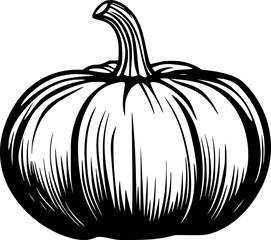 Pumpkin Outline Vector Drawing for Coloring and Logo