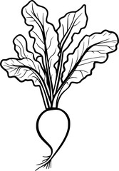 Radish Vegetable Lineart Sketch for Coloring Page