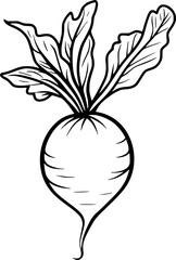 Radish Vegetable Lineart Sketch for Coloring Page