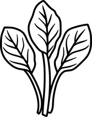 Spinach Leaf Lineart Vegetable Drawing for Coloring Page