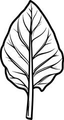 Swiss Chard Leaf Lineart Vector for Logo or Coloring