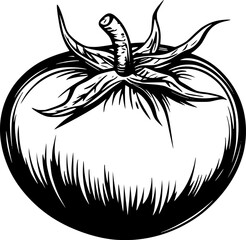 Tomato Outline Vegetable Drawing for Coloring Page