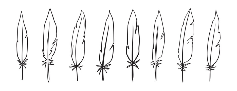 feather pen doodle hand drawn icon set. Outline drawing feather pen line clipart symbol collection - Powered by Adobe
