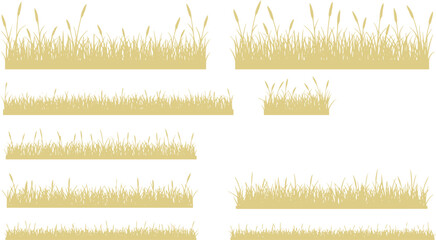 Obraz premium Silhouette grass with spikelet collection. Set of hand drawn beach grass line cad. Illustration for elevation architectural element, side view, grass section. Turf coating banners for edging