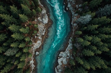 High-resolution aerial photo of a vibrant turquoise river cutting through a lush pine forest and rocky terrain. A stunning natural scene showcasing contrast between water, trees, and stone.