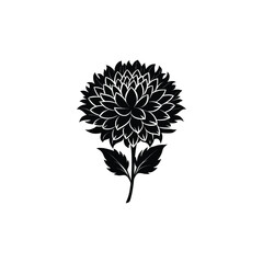  Elegant Black Chrysanthemum Flower Illustration - Vector Design