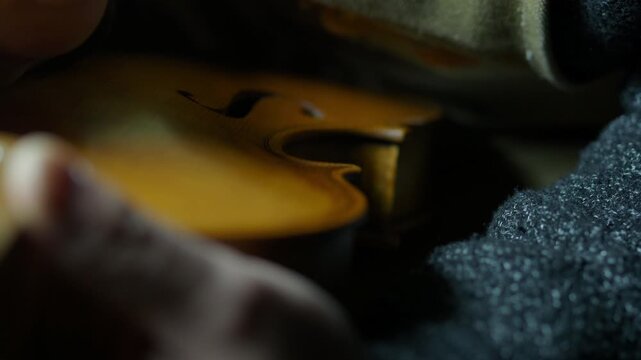 master violinmaker checking top plate smoothing before varinishing process with paintbrush and self produced alcohol lac