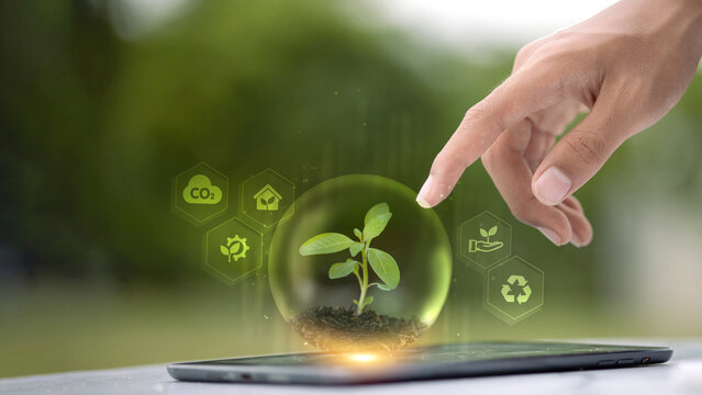 Sustainable Plant Growth and ESG Concept with Digital Technology