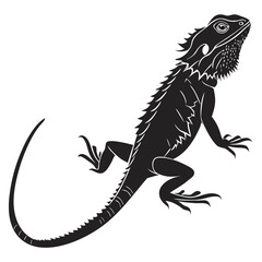 Obraz premium Isolated Black Silhouette of Lizard on White Background