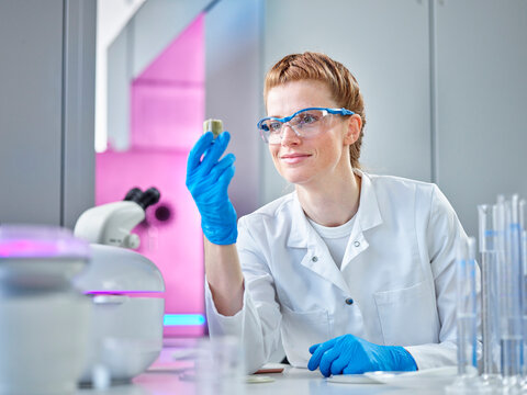 Scientist with eyewear examining plant at laboratory