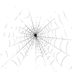 spider web isolated in White Background, spider web vector, Flat lay vector illustration