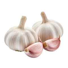 garlic isolated on white