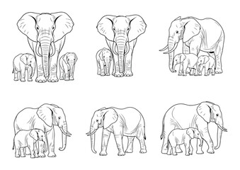 Elephant in Various Poses Set. Front, Side, and Three-Quarter Angle Collection