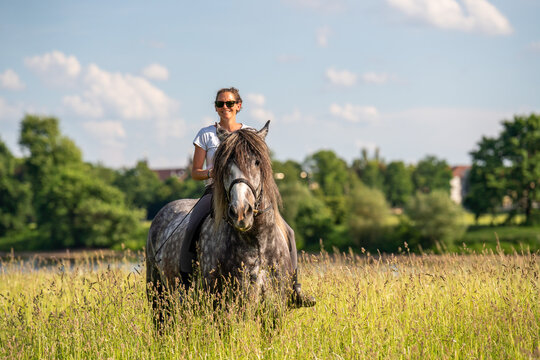 Lovely woman sits riding dapple gray horse in lush green field. Tranquil, sunlit rural scene reflecting harmony with nature, peace and an authentic rural way of life.