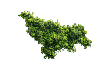 Obraz premium Aerial view of a lush green landscape