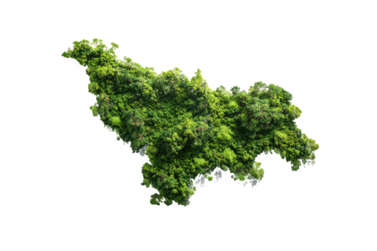 Aerial view of a lush green landscape