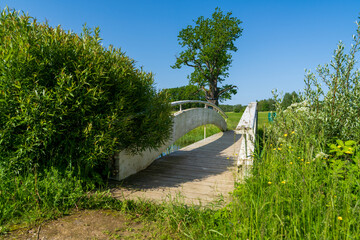Modern concrete footbridge with a wooden deck crossing through lush green landscape on a sunny summer day. Contemporary pedestrian bridge surrounded by dense vegetation and trees